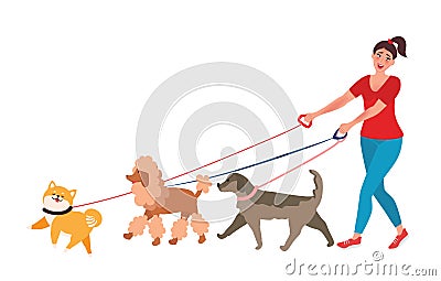 Professional dog Walker Vector Illustration